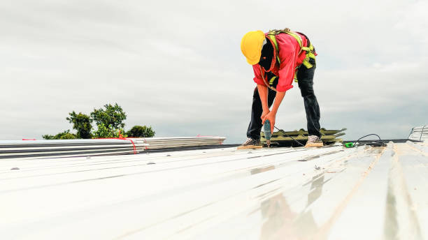 Best Sheet Metal Roofing  in Plymouth Meeting, PA
